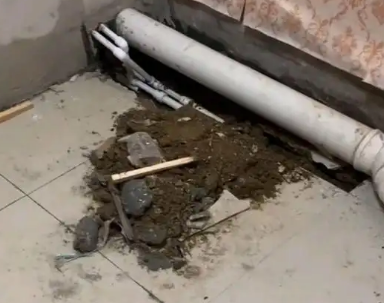 玉林市卫生间漏水检测哪家好